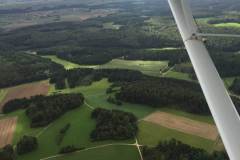 Lady Bush Pilot - African Tour - Flap 1