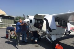 Lady Bush Pilot - African Tour - Flap 1