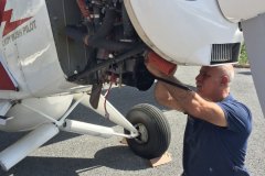 Lady Bush Pilot - African Tour - Flap 1