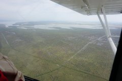 Lady Bush Pilot - African Tour - Flap 1