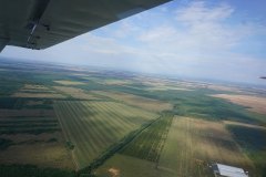 Lady Bush Pilot - African Tour - Flap 1