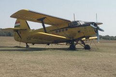 Lady Bush Pilot - African Tour - Flap 1