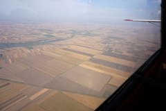 Lady Bush Pilot - African Tour - Flap 1