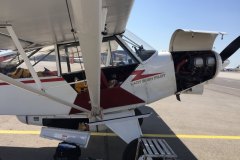 Lady Bush Pilot - African Tour - Flap 1