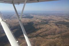 Lady Bush Pilot - African Tour - Flap 1