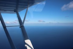 Lady Bush Pilot - Flap 1 - Part 2