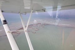 Lady Bush Pilot - Flap 1 - Part 2