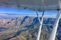 Lady Bush Pilot - African Tour - Flap 1