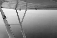 Lady Bush Pilot - African Tour - Flap 1