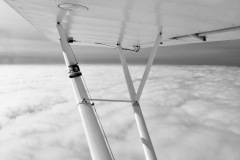 Lady Bush Pilot - African Tour - Flap 1