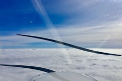 Lady Bush Pilot - African Tour - Flap 1