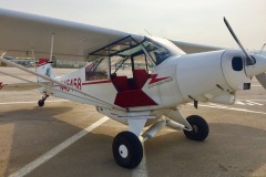 Lady Bush Pilot - African Tour - Flap 1