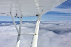 Lady Bush Pilot - African Tour - Flap 1