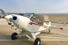 Lady Bush Pilot - African Tour - Flap 1