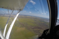 Lady Bush Pilot - African Tour - Flap 3