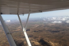 Lady Bush Pilot - African Tour - Flap 3