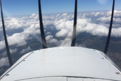 Lady Bush Pilot - African Tour - Flap 3