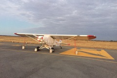 Lady Bush Pilot - African Tour - Flap 3