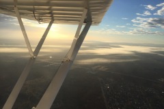 Lady Bush Pilot - African Tour - Flap 3