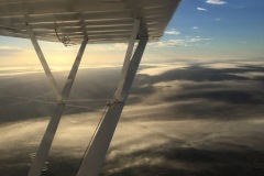 Lady Bush Pilot - African Tour - Flap 3
