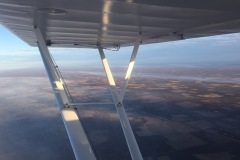Lady Bush Pilot - African Tour - Flap 3