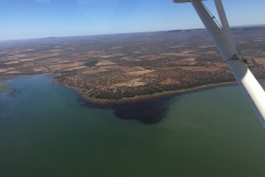 Lady Bush Pilot - African Tour - Flap 3