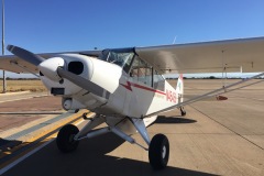 Lady Bush Pilot - African Tour - Flap 3