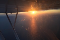 Lady Bush Pilot - African Tour - Flap 3