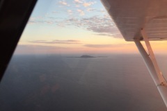 Lady Bush Pilot - African Tour - Flap 3