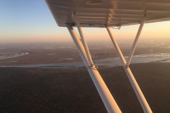 Lady Bush Pilot - African Tour - Flap 3