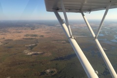 Lady Bush Pilot - African Tour - Flap 3