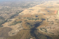 Lady Bush Pilot - African Tour - Flap 3