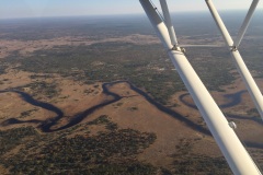 Lady Bush Pilot - African Tour - Flap 3
