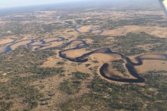 Lady Bush Pilot - African Tour - Flap 3