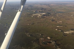 Lady Bush Pilot - African Tour - Flap 3