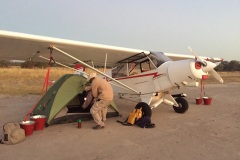 Lady Bush Pilot - African Tour - Flap 3