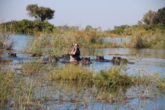 Lady Bush Pilot - African Tour - Flap 3