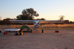 Lady Bush Pilot - African Tour - Flap 3