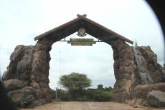 Lady Bush Pilot - African Tour - Flap 3