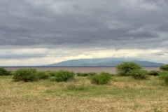 Lady Bush Pilot - African Tour - Flap 3