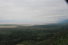 Lady Bush Pilot - African Tour - Flap 3