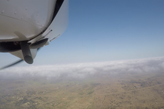 Lady Bush Pilot - African Tour - Flap 3