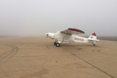 Lady Bush Pilot - African Tour - Flap 3