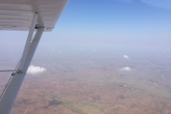 Lady Bush Pilot - African Tour - Flap 3