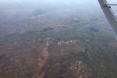 Lady Bush Pilot - African Tour - Flap 3