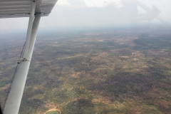 Lady Bush Pilot - African Tour - Flap 3