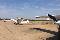 Lady Bush Pilot - African Tour - Flap 3