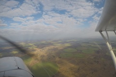 Lady Bush Pilot - African Tour - Flap 3