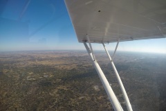 Lady Bush Pilot - African Tour - Flap 3