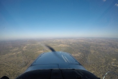 Lady Bush Pilot - African Tour - Flap 3